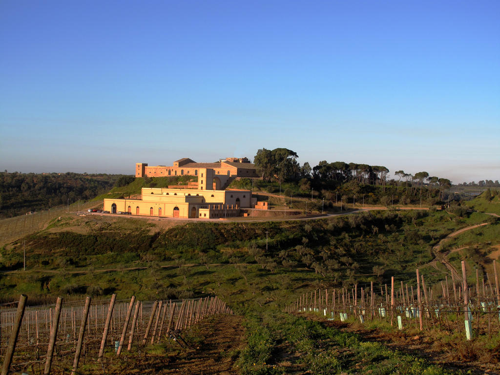 Wine Relais Feudi Del Pisciotto Villa Niscemi Eksteriør billede